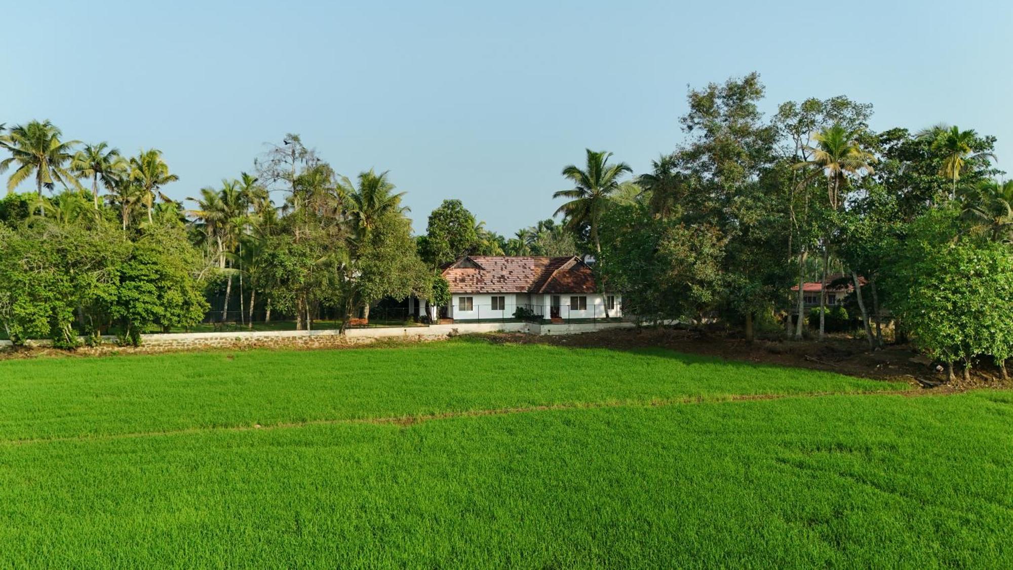Paadam By The Backwaters Kumarakom Eksteriør bilde